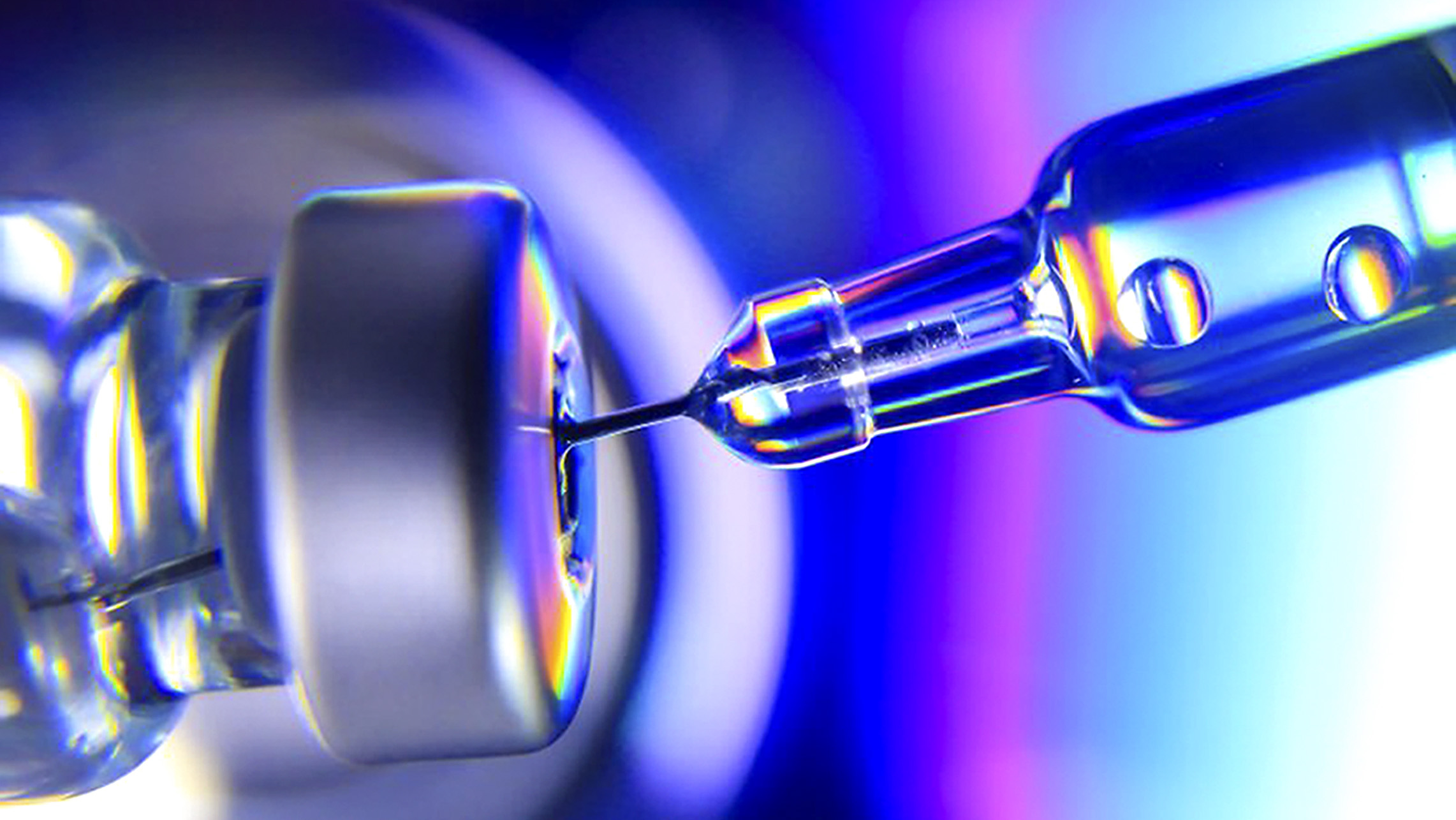 The week in civil society: a focus on vaccine progress, oversight at Facebook and the secret power of pulses