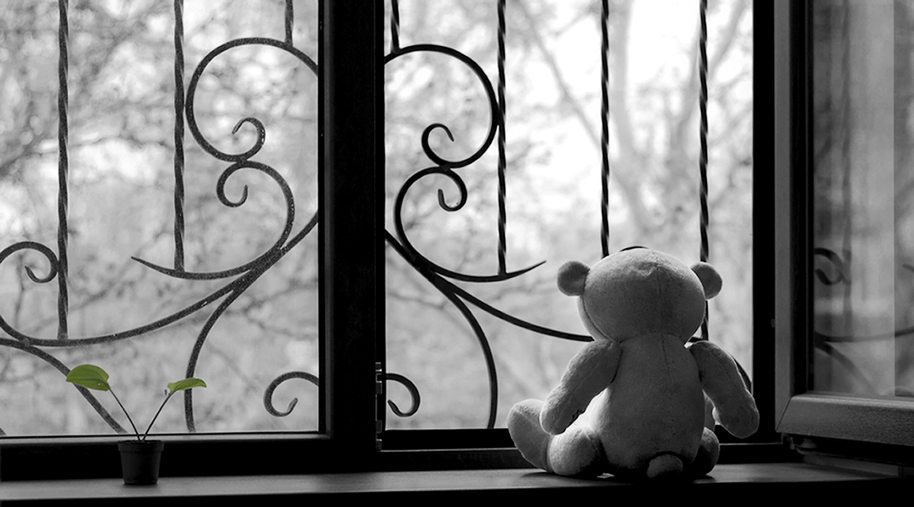 Horrific tale of child abuse and murder unfolds in Western Cape High Court