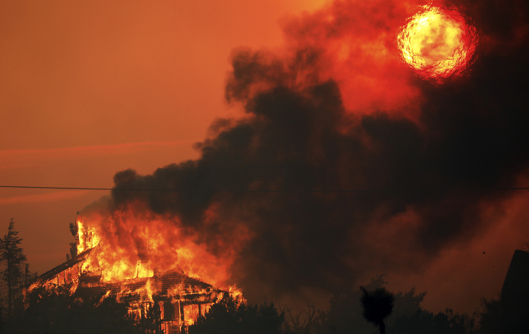 The climate crisis in 2020: why you should take a stand now