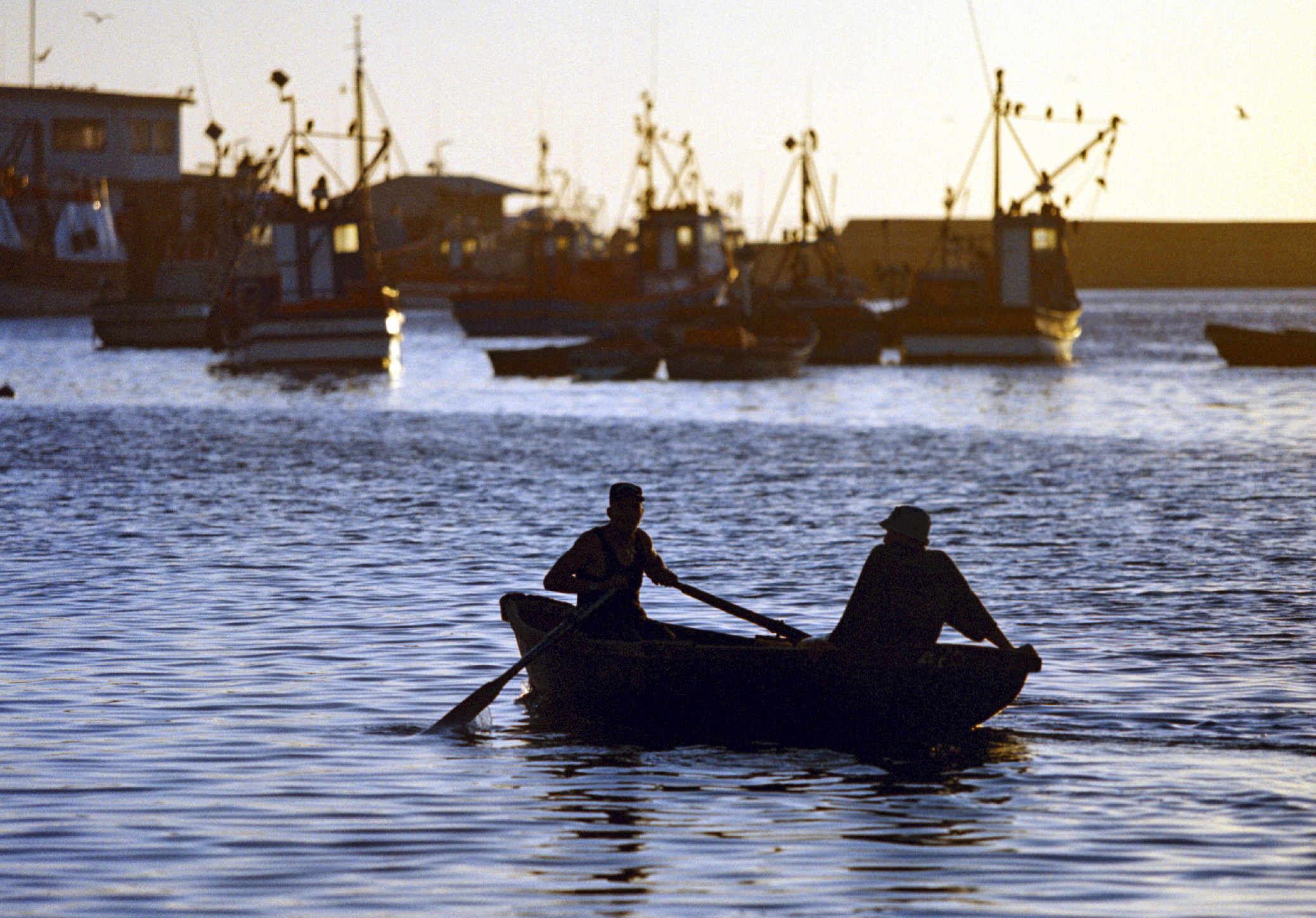 Struggling small-scale fishers are thrown a lifeline by pilot project