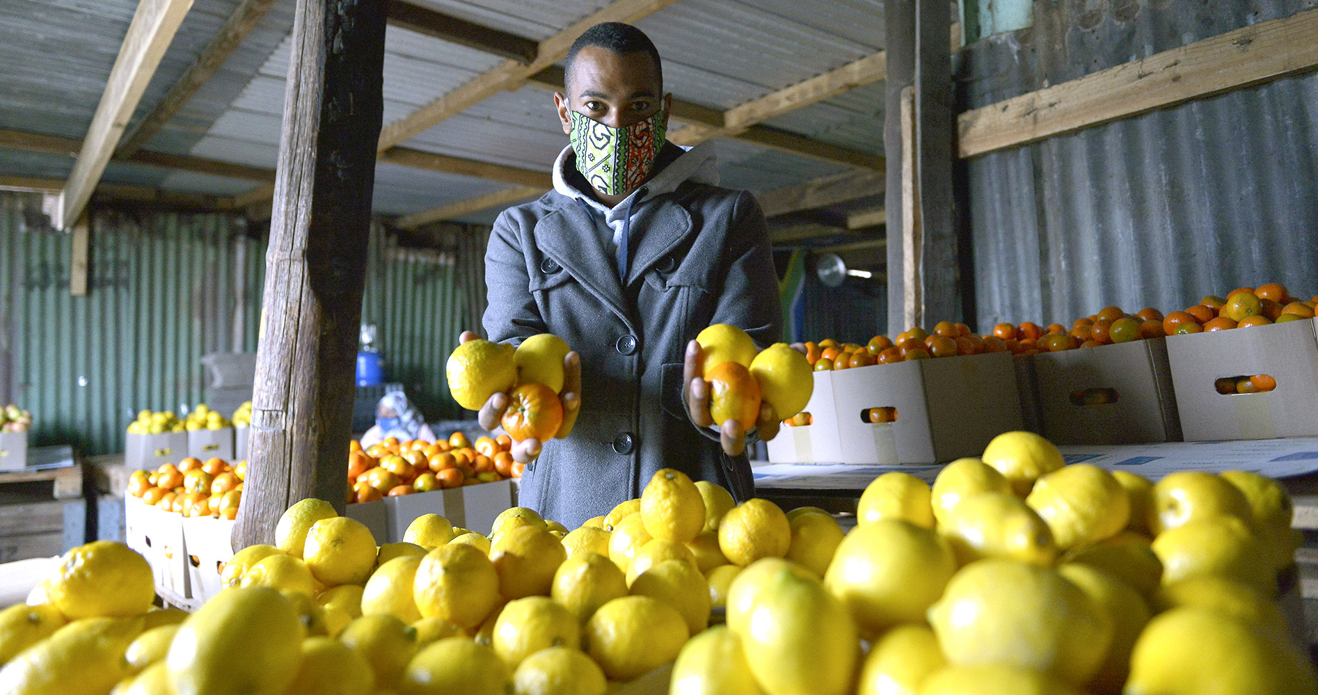 First, do no harm: Promote formal economy for small business, but not at expense of informality (Part Two)