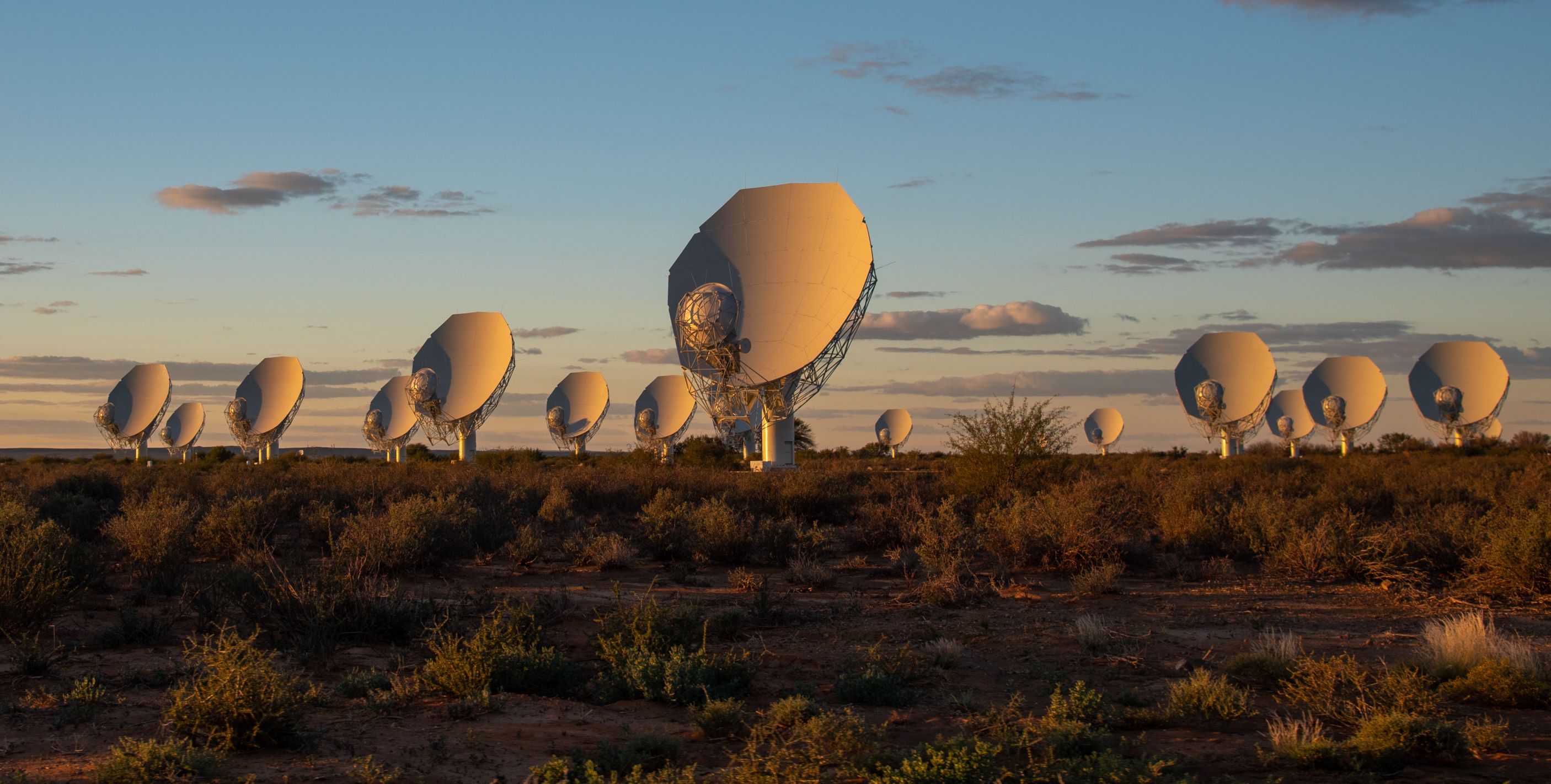 The birth of the SKA Observatory – the largest radio telescope in the world