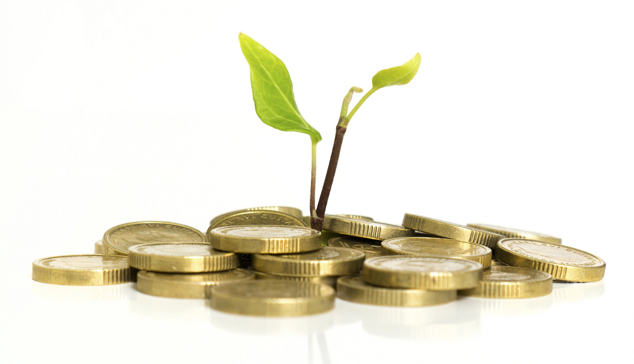 Clever investments don't require high management fees