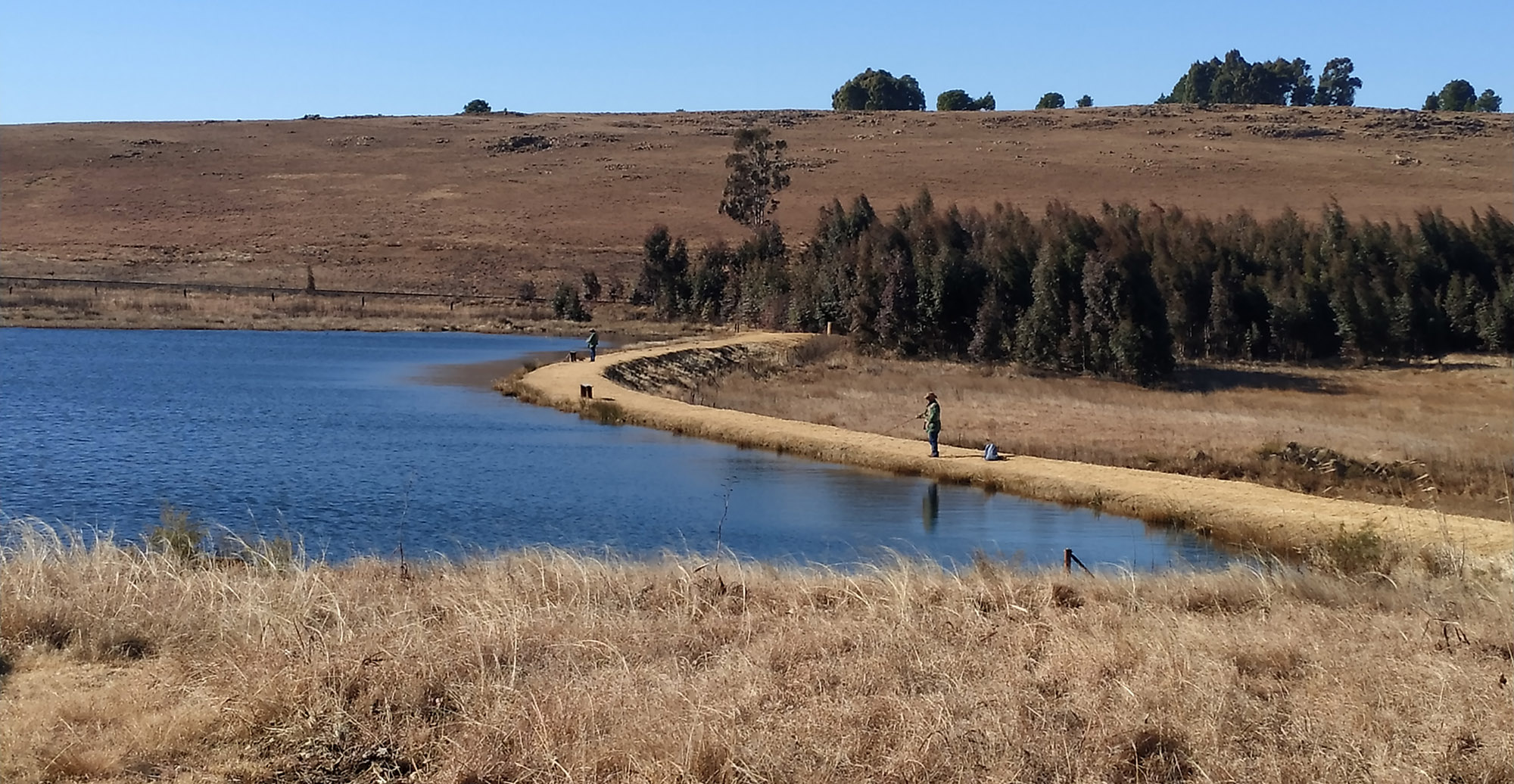 Bid by Department of Environmental Affairs, Forestry and Fisheries to categorise trout as alien species hits a snag