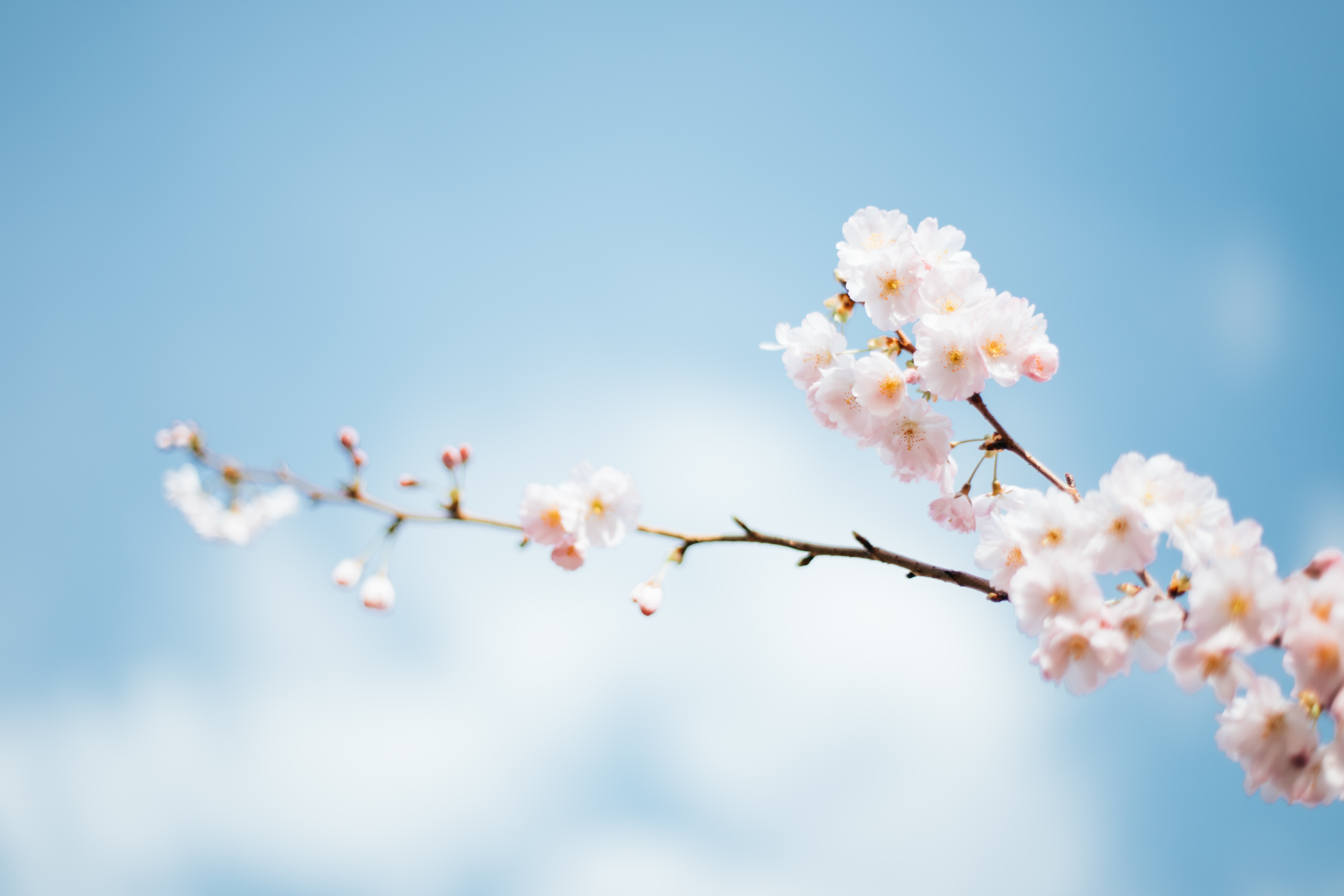 There's something about Spring