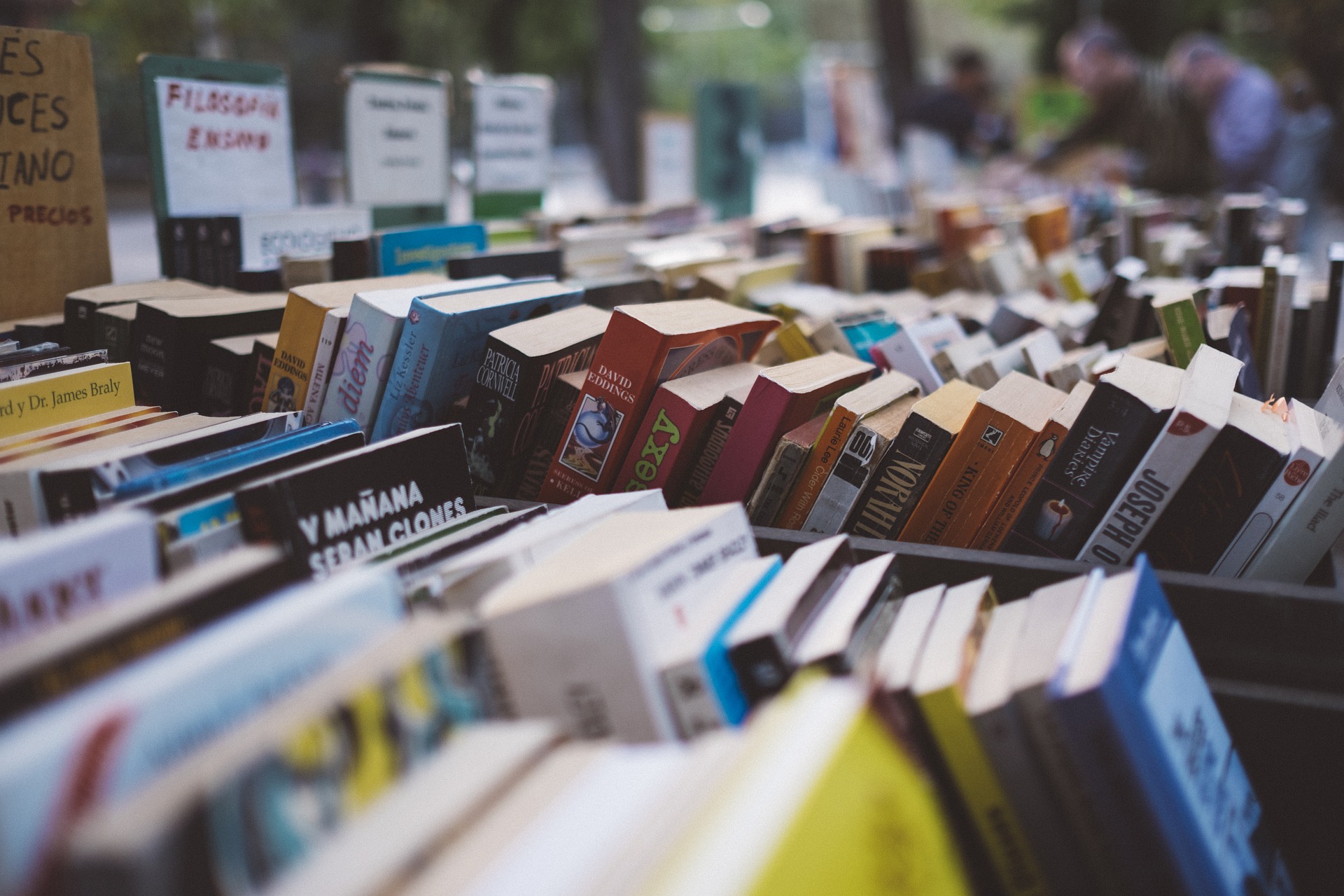 What does it take to succeed as a self-published book author in South Africa?