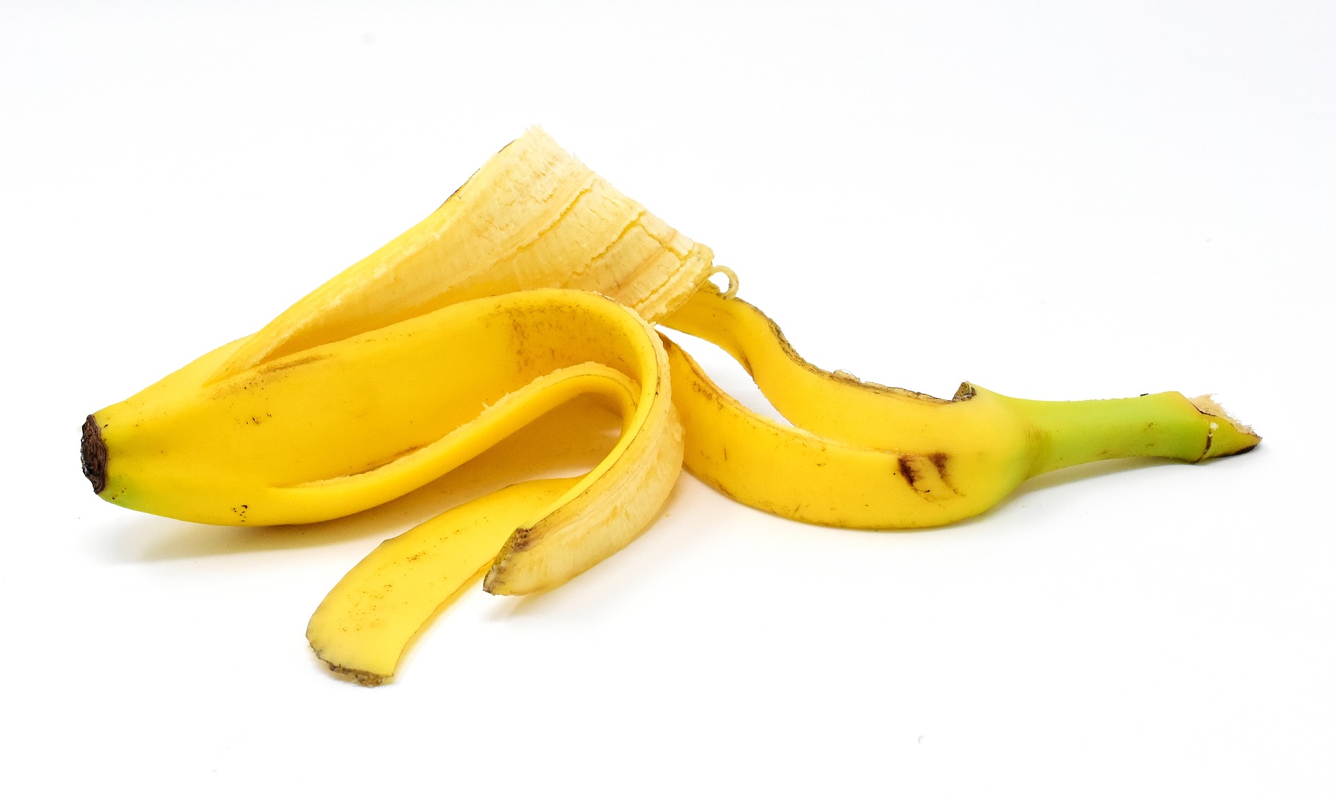 Discard any thought that pips and peels are useless in the kitchen