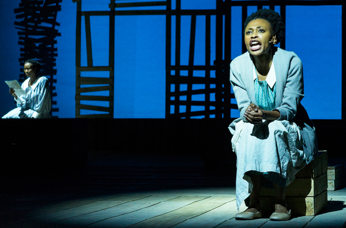 The Color Purple – Why the Show Matters for our Democracy