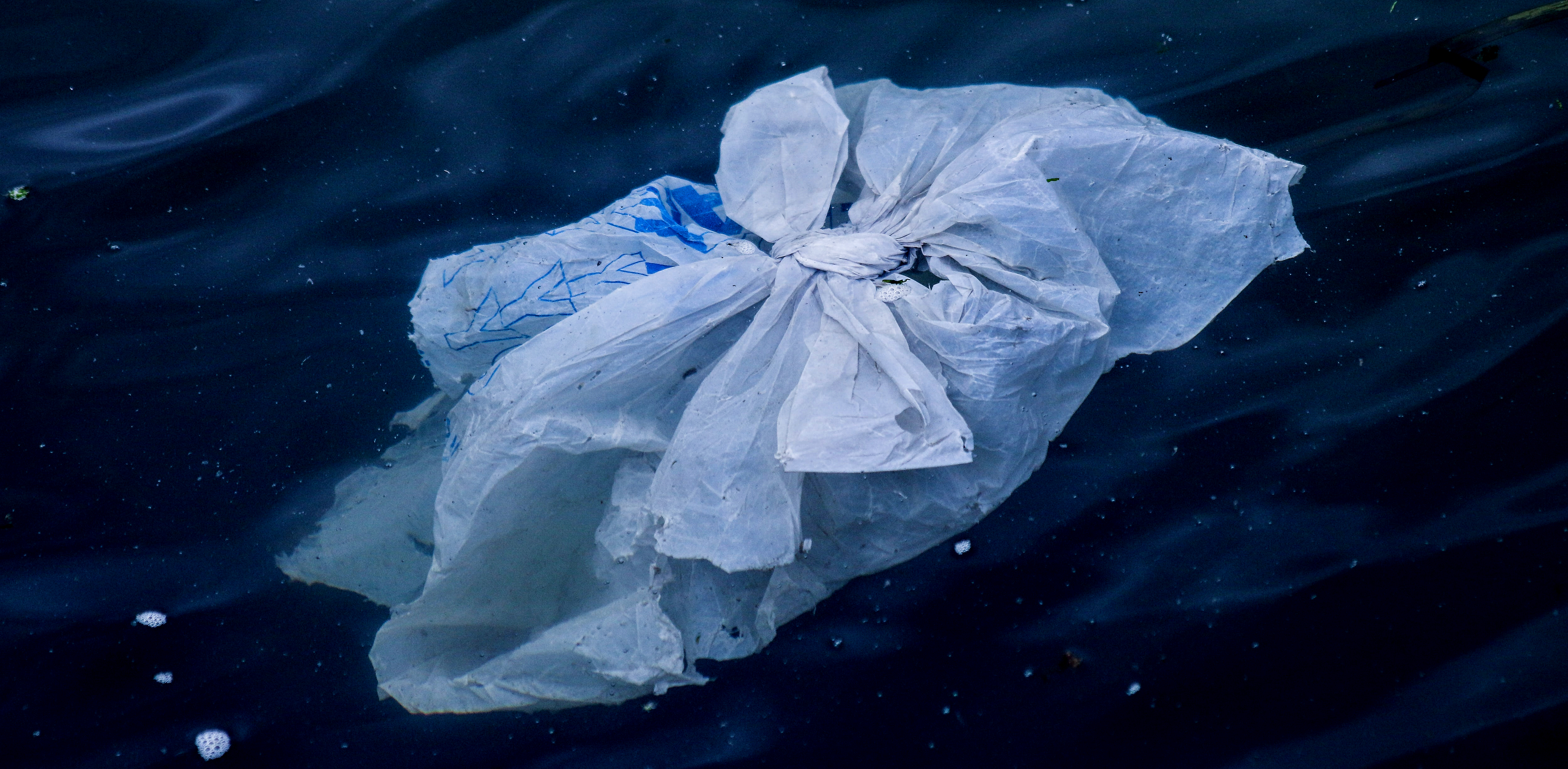 At last – Woolworths makes a move to rid South Africa of plastic shopping bags