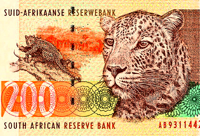 To cut or not to cut, that is the Reserve Bank's question