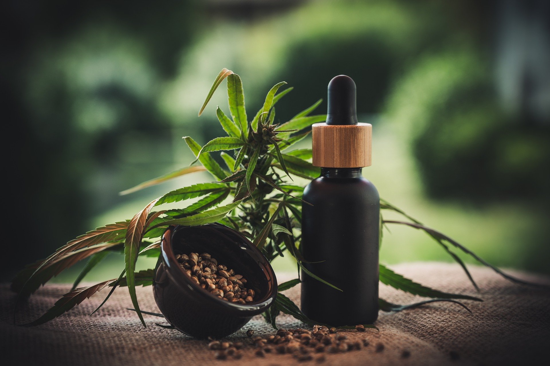 Cannabidiol: Food fad or here to stay?