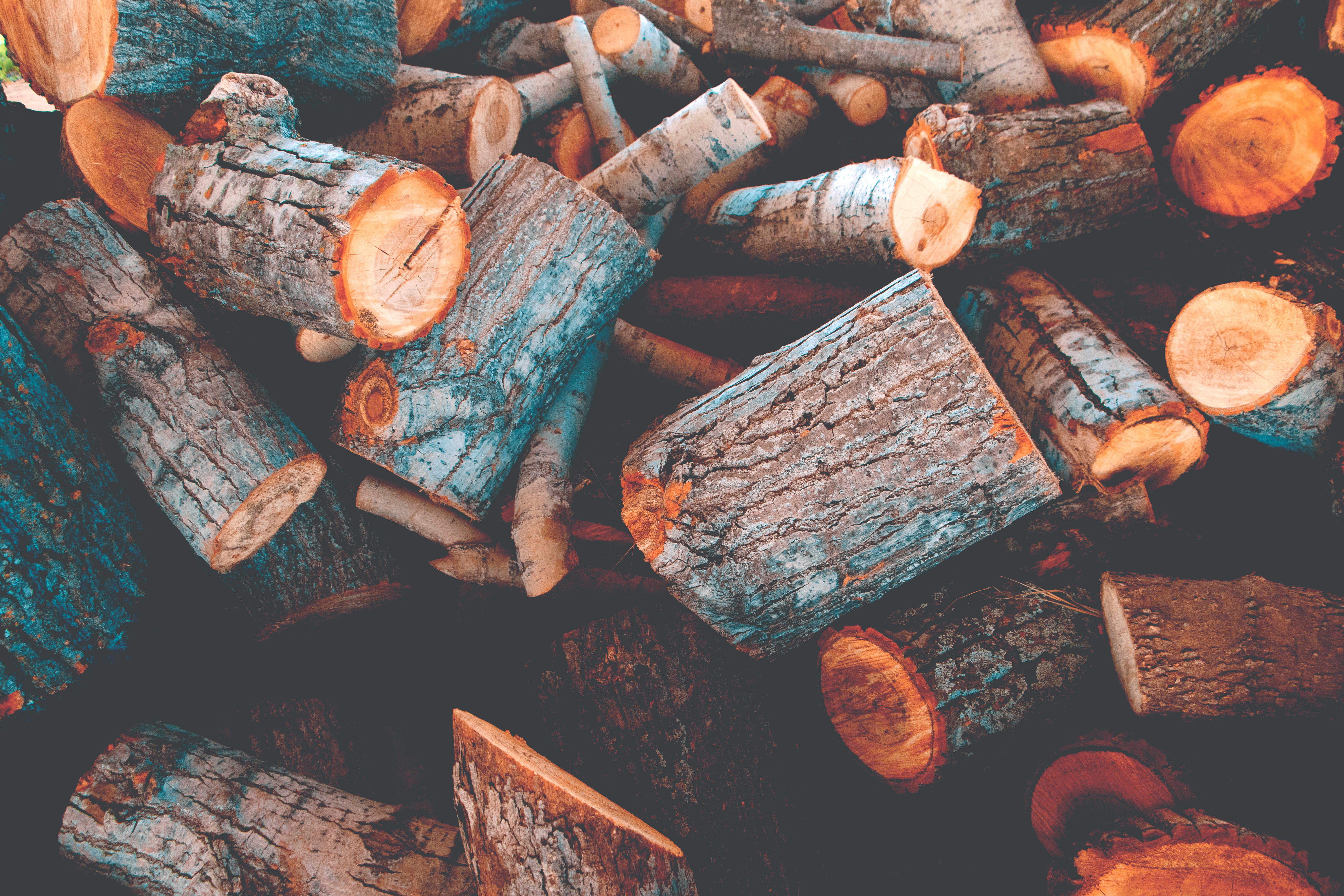 Illicit logging threatens lives and livelihoods in Africa