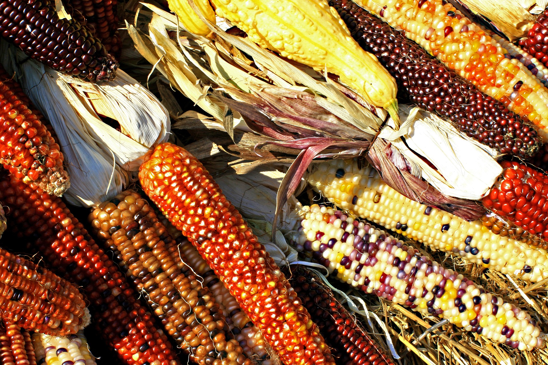 Transnational cartels dictate what’s for breakfast in Kenya