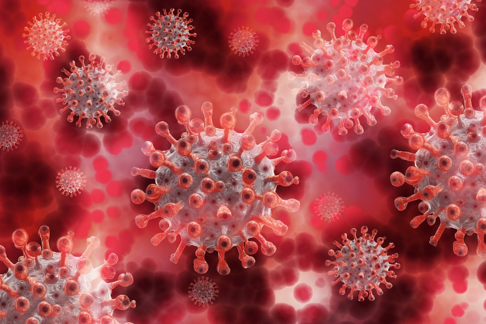 Covid-19: Ivermectin obsession is 'dangerous'
