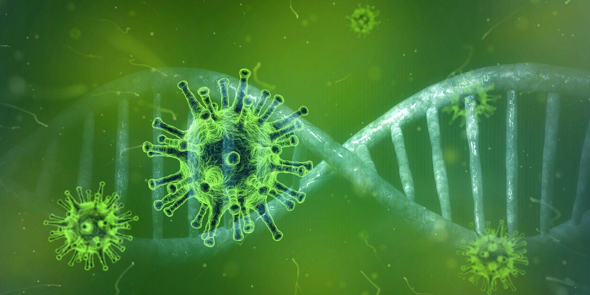 South Africans in Wuhan to be evacuated amid coronavirus outbreak, say officials
