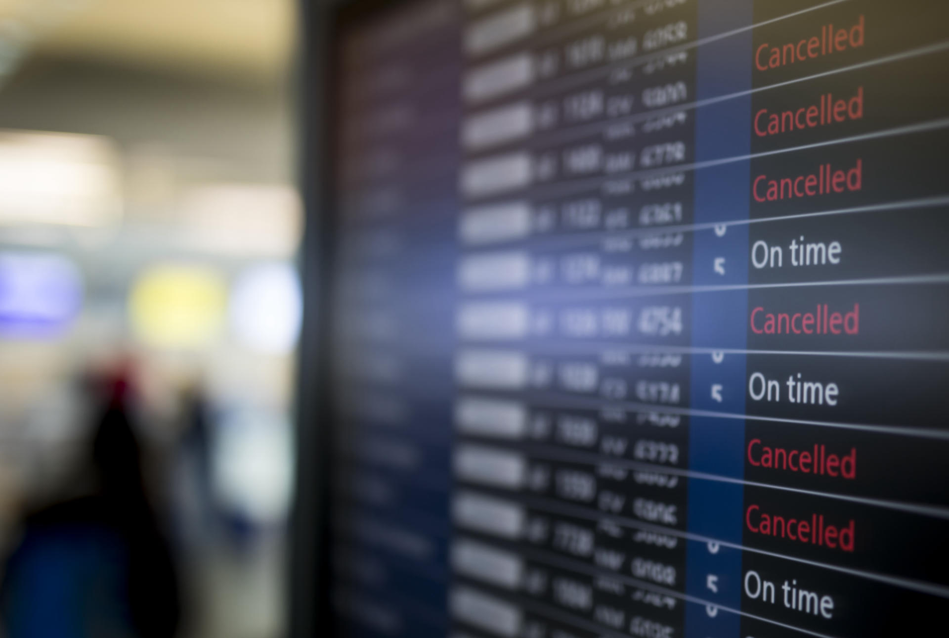 Austrian arrested at Paris airport with 80 birds in hand luggage