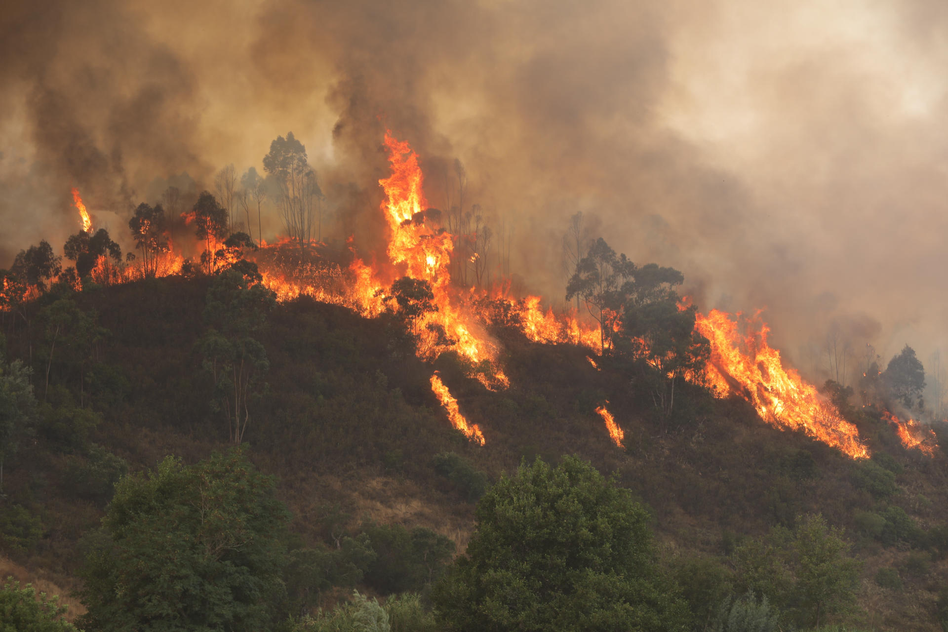 Firefighters still trying to contain Garden Route blaze