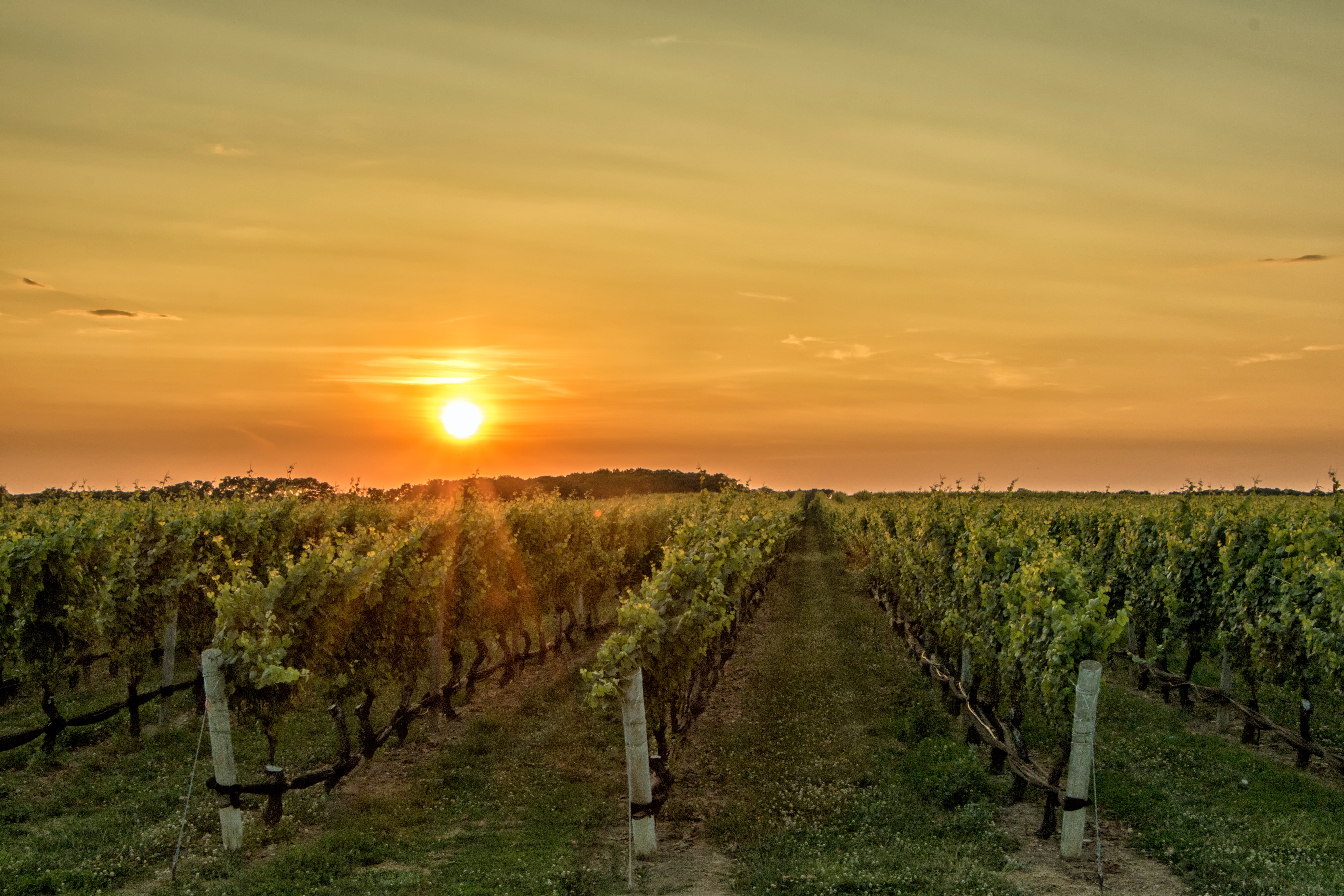 Sipping at a sustainable, growing trend