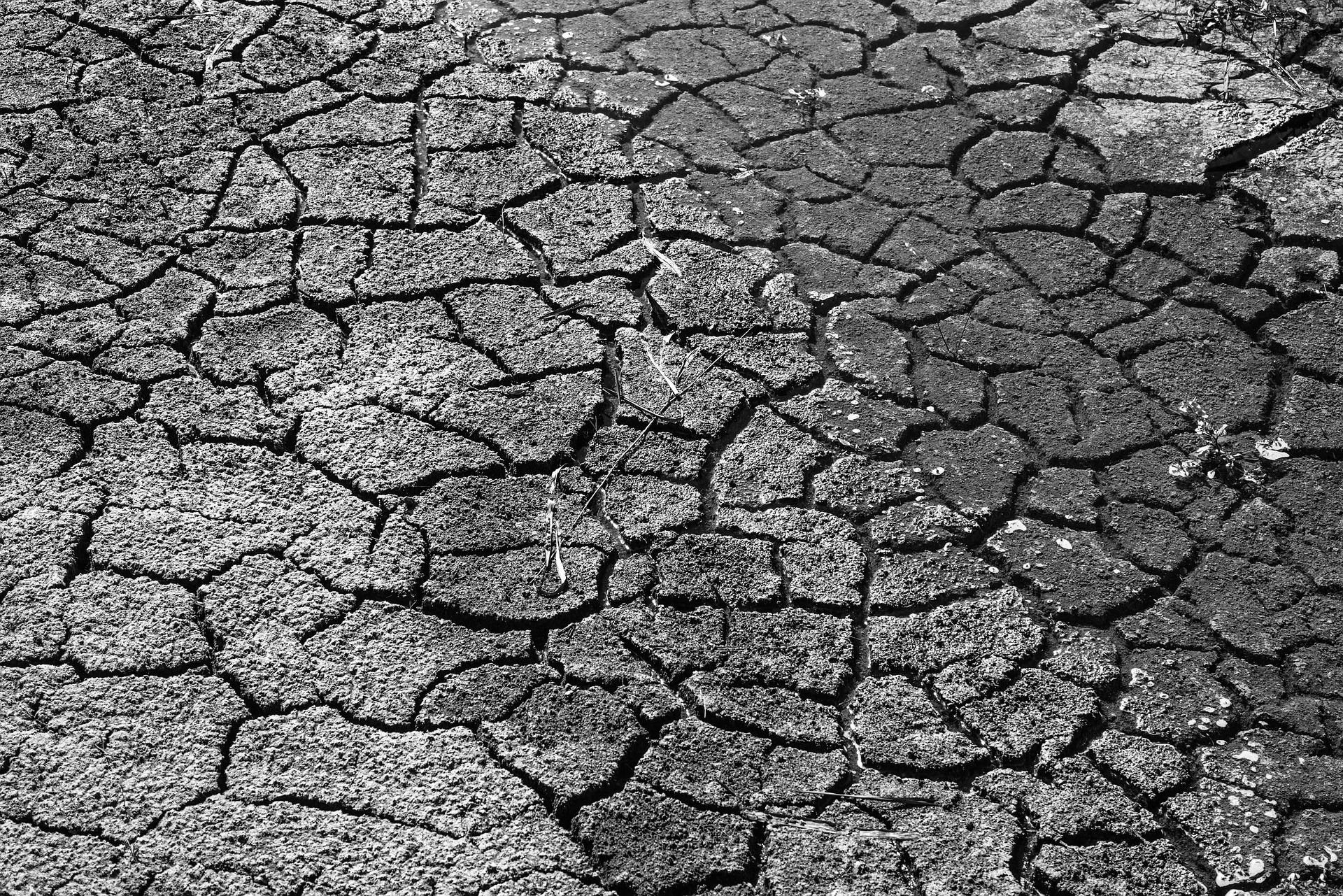World Food Programme head warns of ‘multiple famines of biblical proportions’