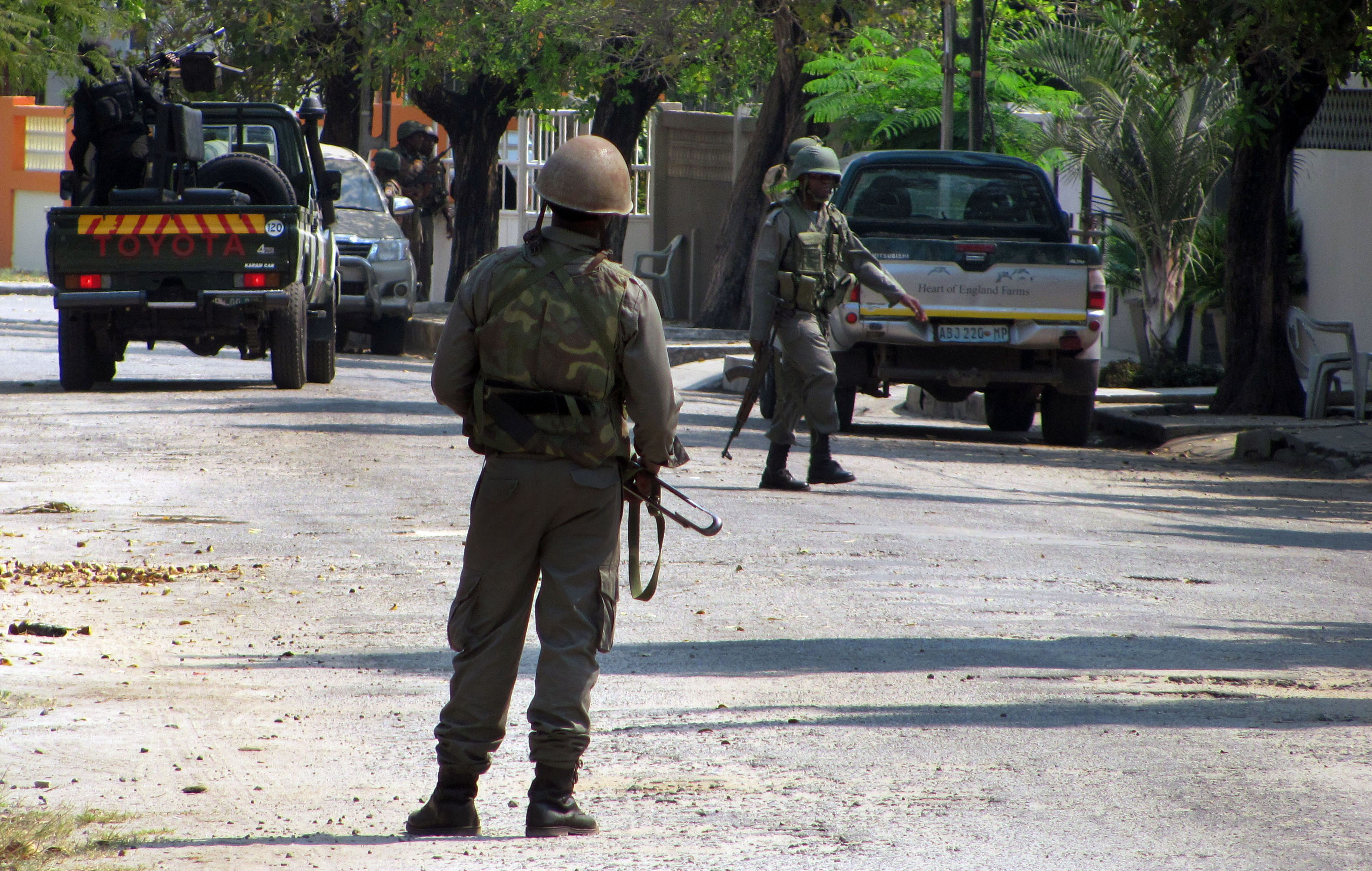 New Renamo leader prompts fears of return to war