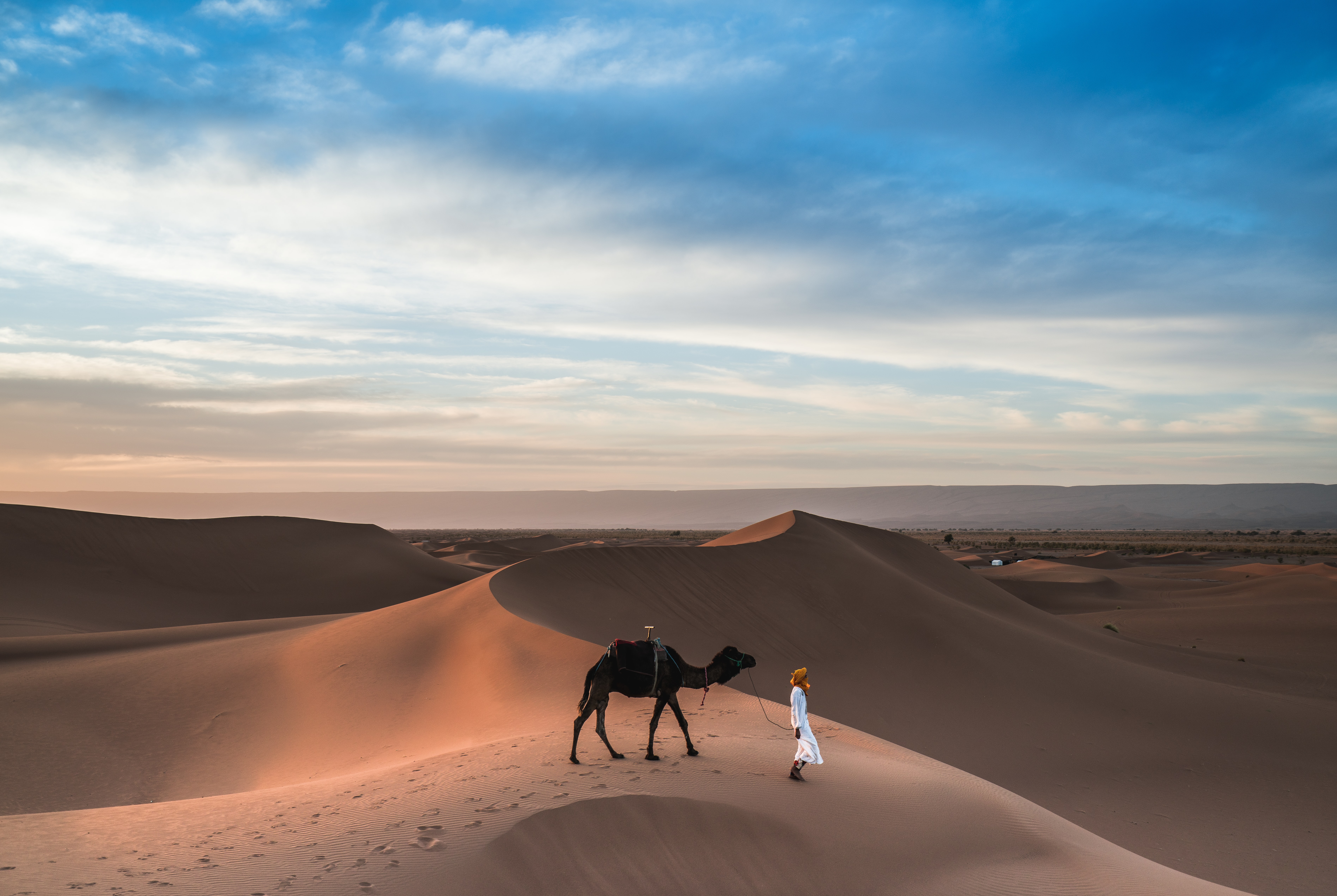 An introduction to the ungainly ship of the desert