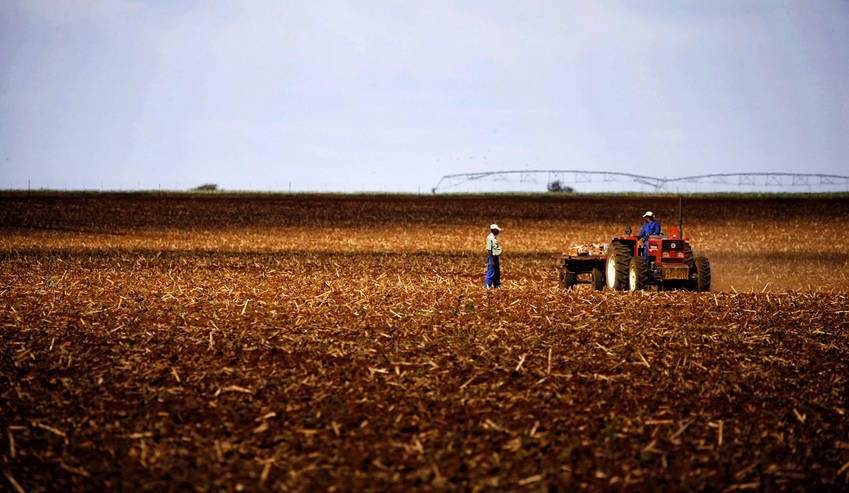 GroundUp: Civil servant goes to prison for stealing farm