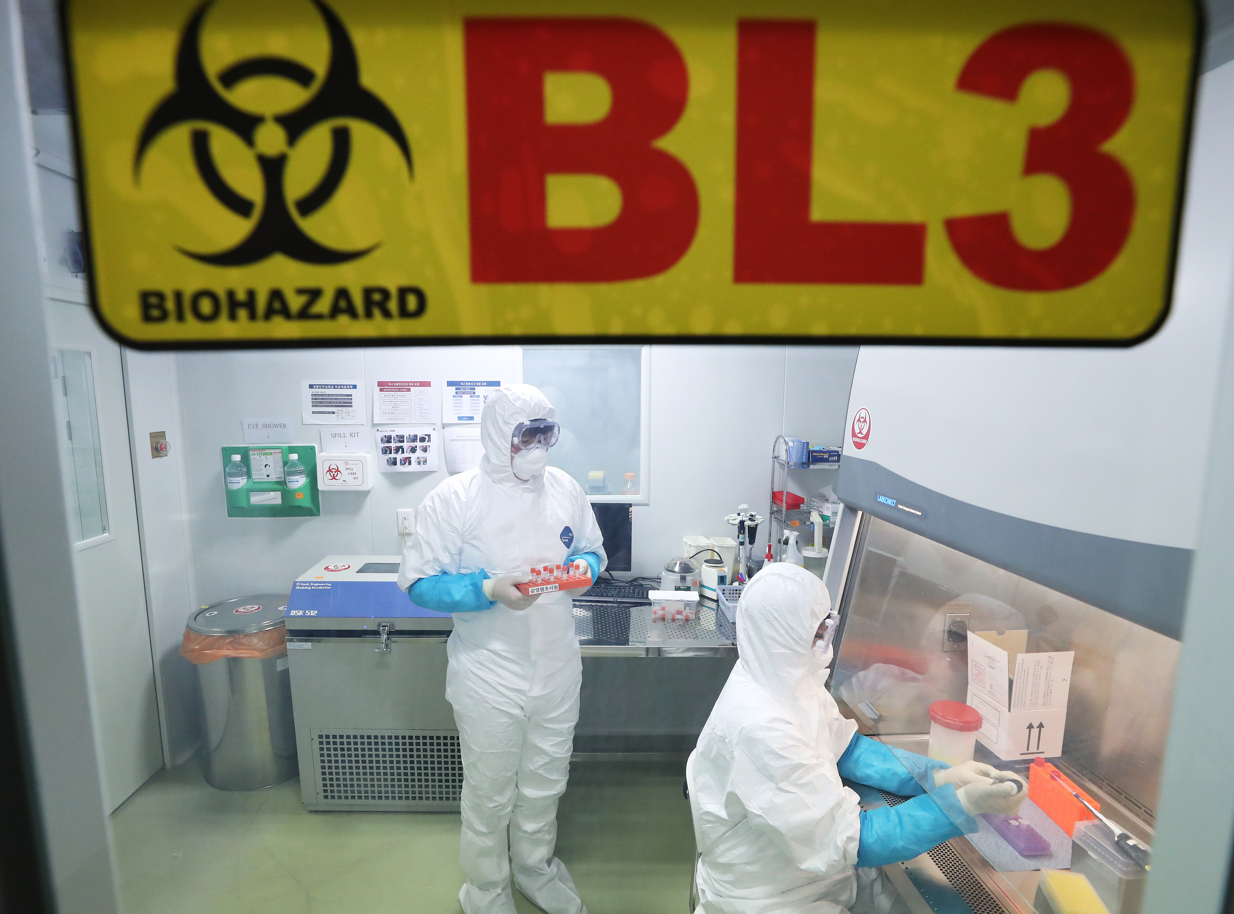 WHO says new China virus could spread, it's warning all hospitals