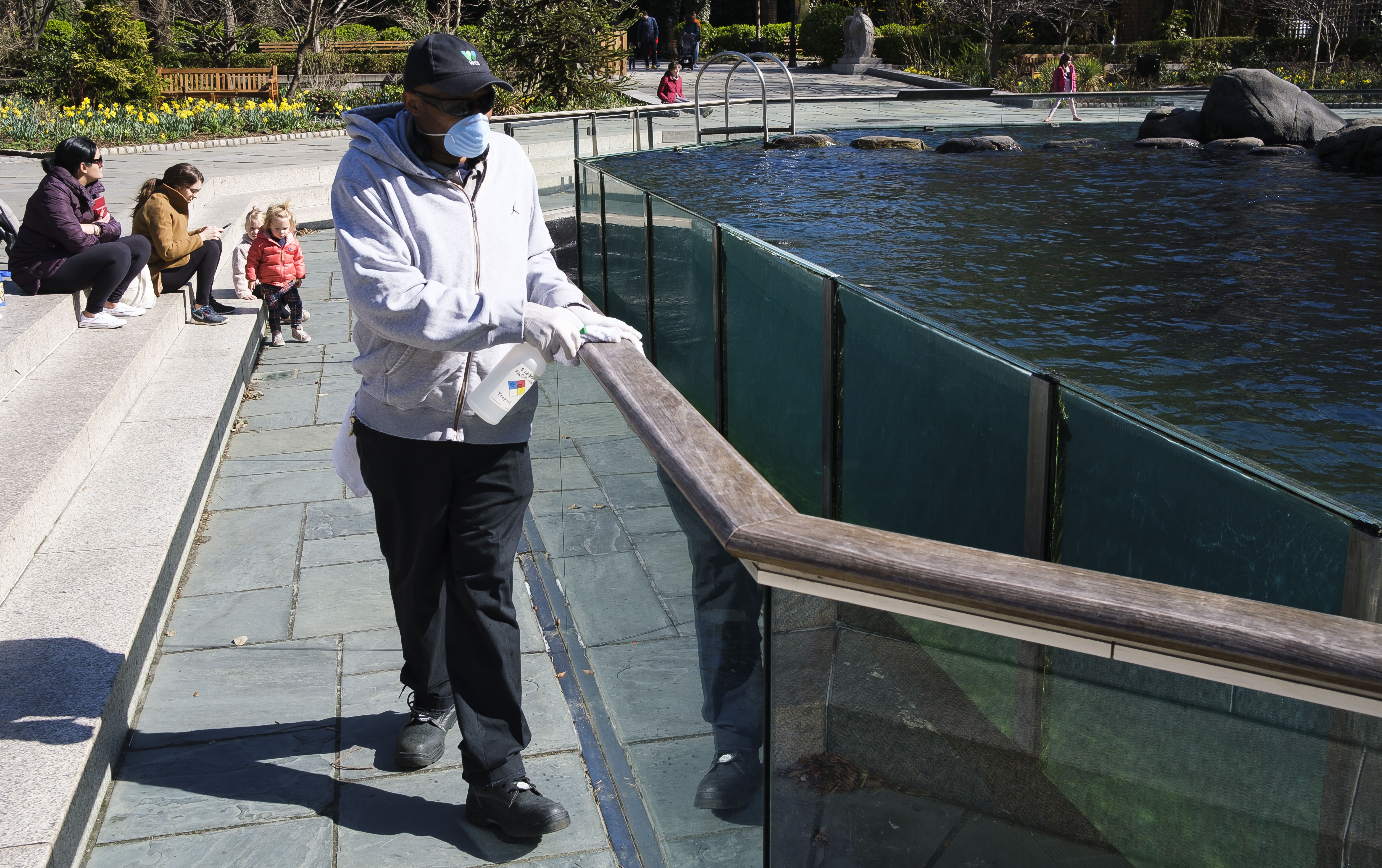 Tiger at New York's Bronx Zoo tests positive for coronavirus