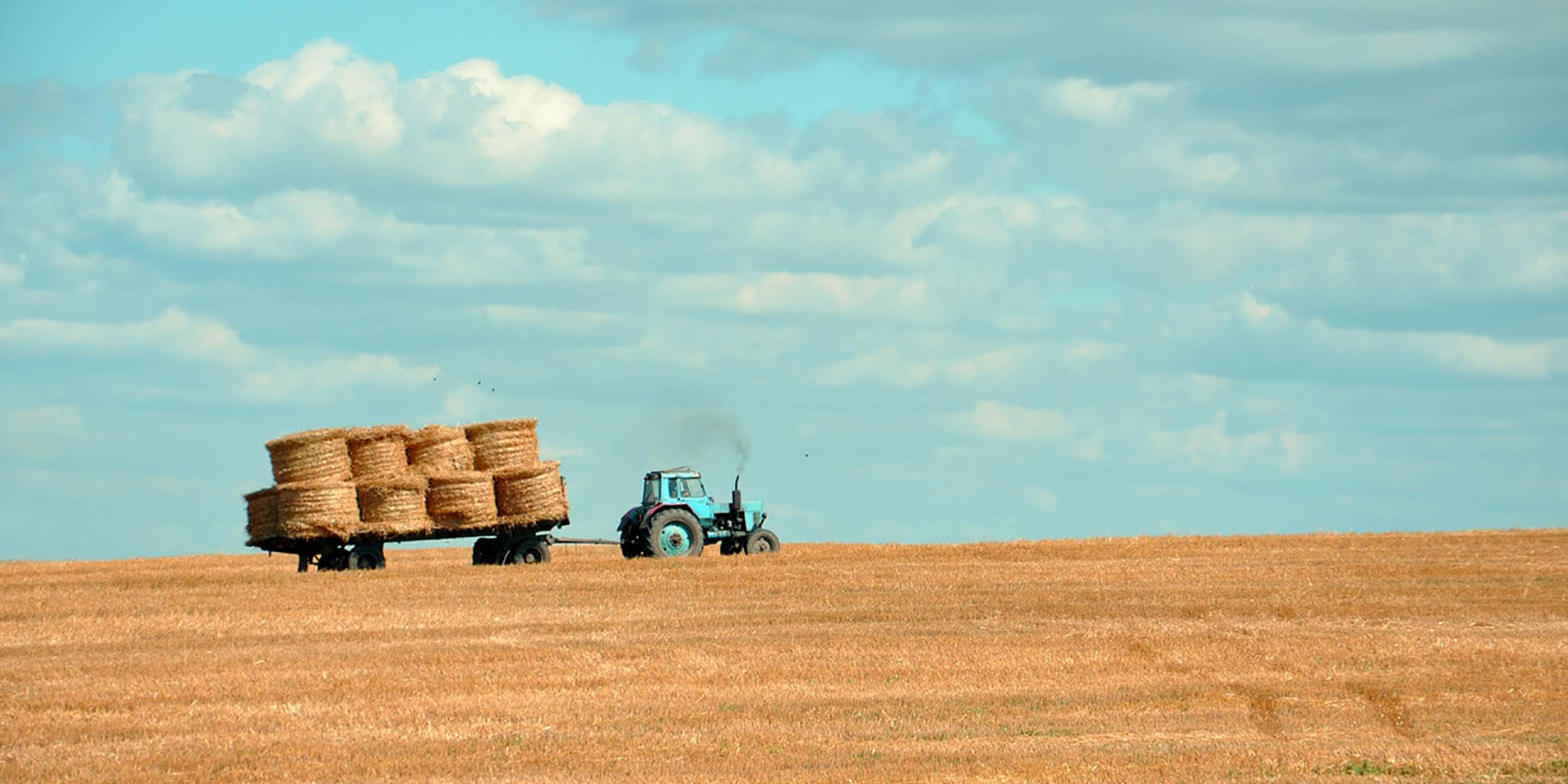 Presidential land reform panel’s report is fundamentally coercive