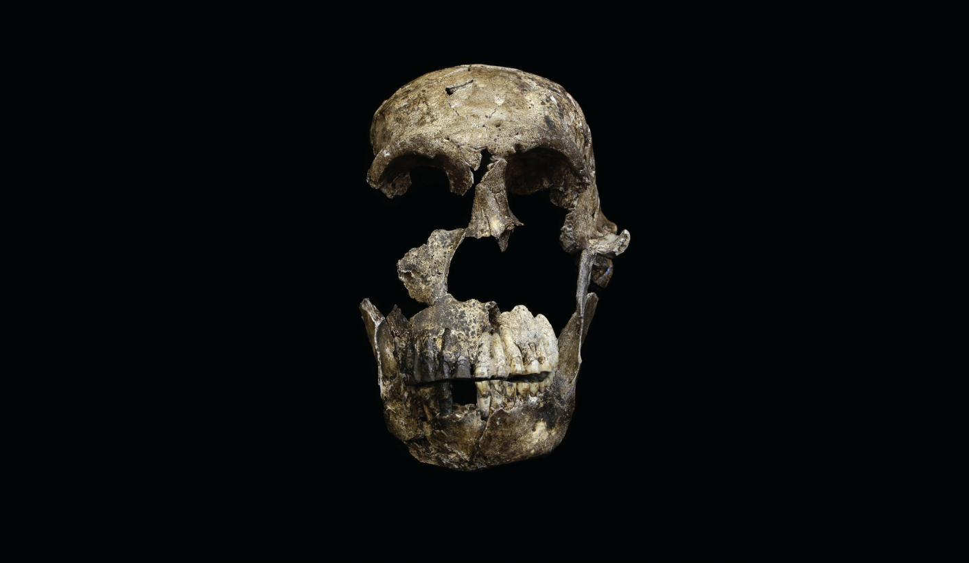 A small-brained relative is about to shake up our family tree