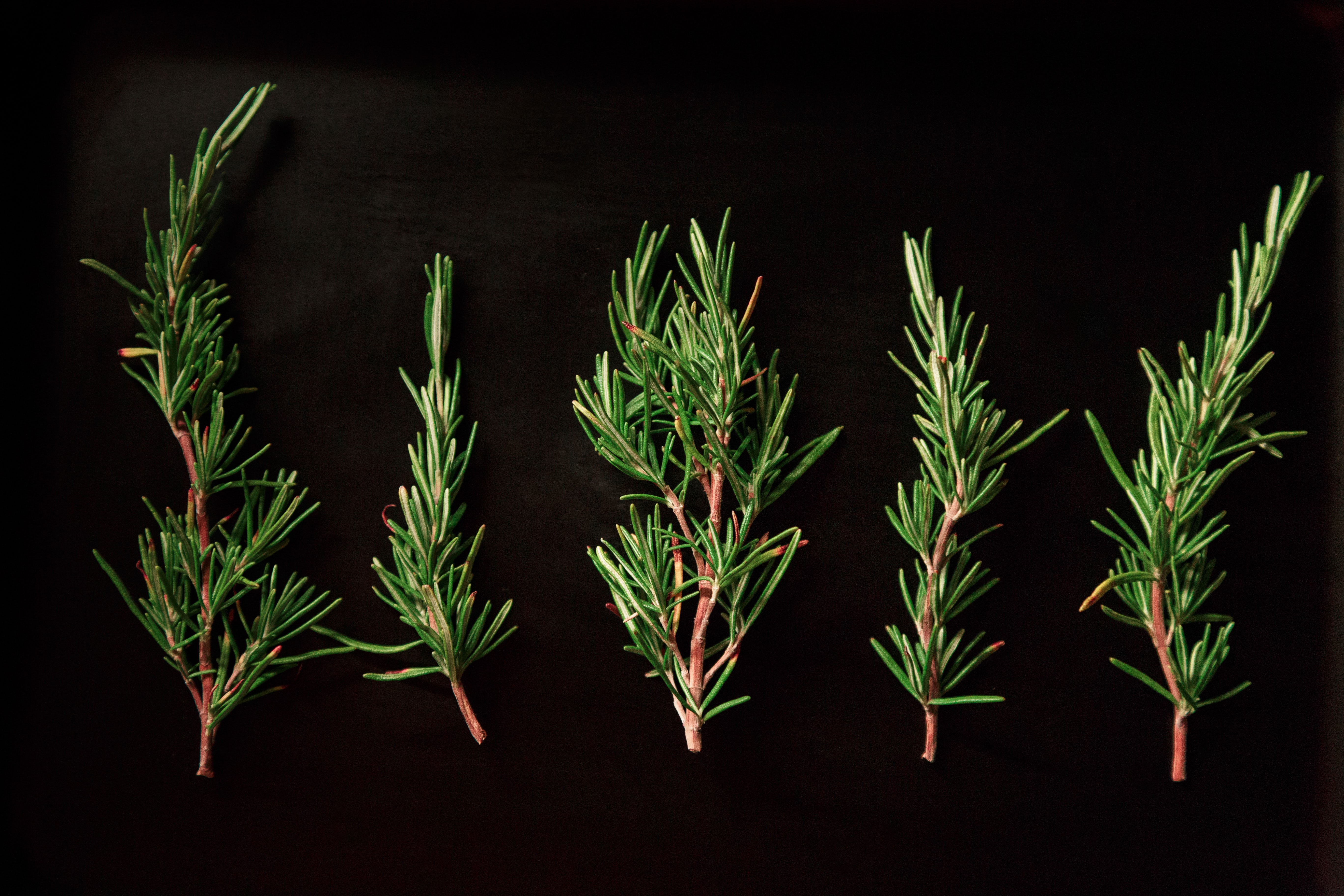 Lockdown Recipe of the Day: Rosemary Beef Fillet on the Braai