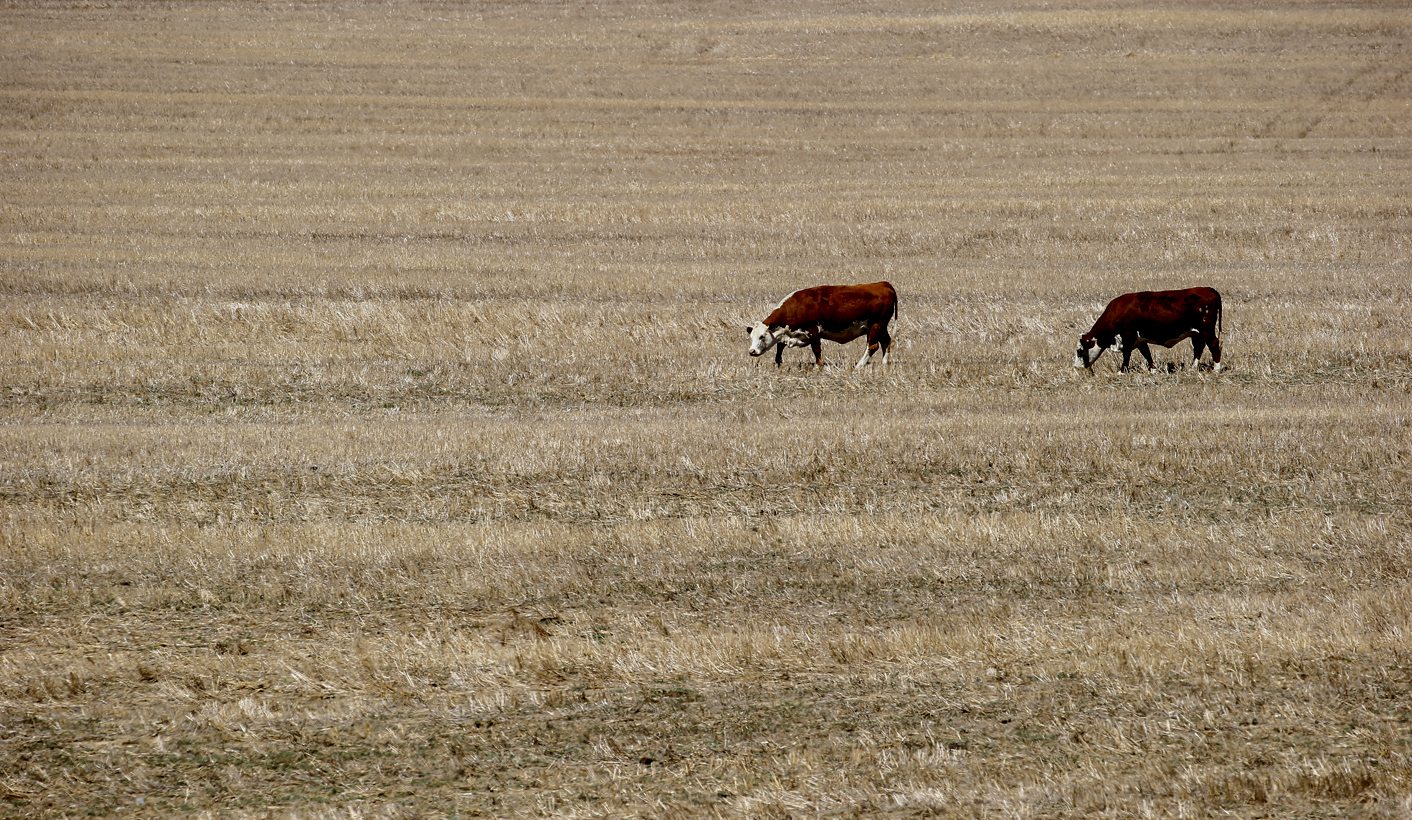 The Great South African Drought by numbers, but they just don’t add up