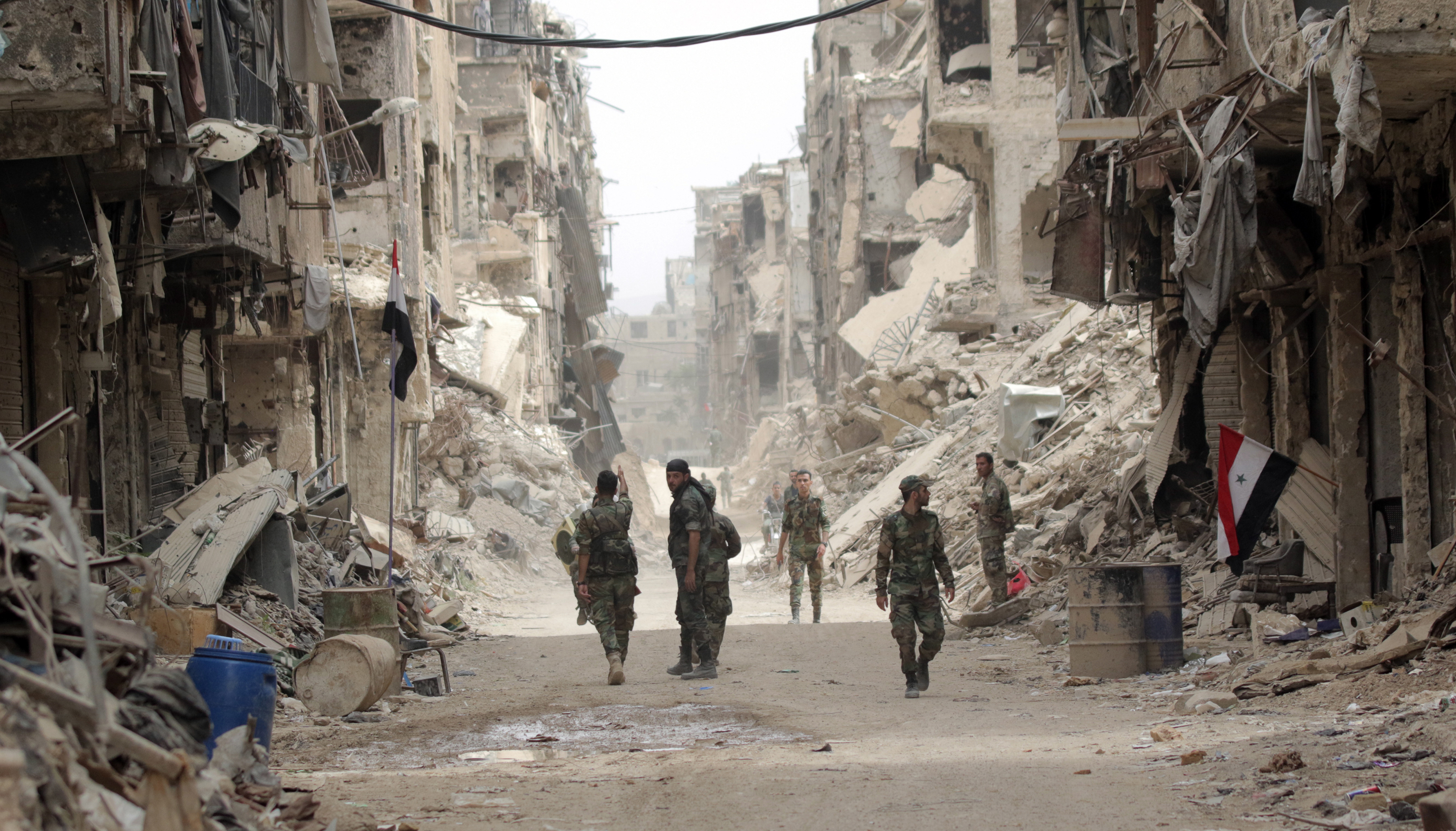 Germany urges South Africa to act against Syrian chemical weapons
