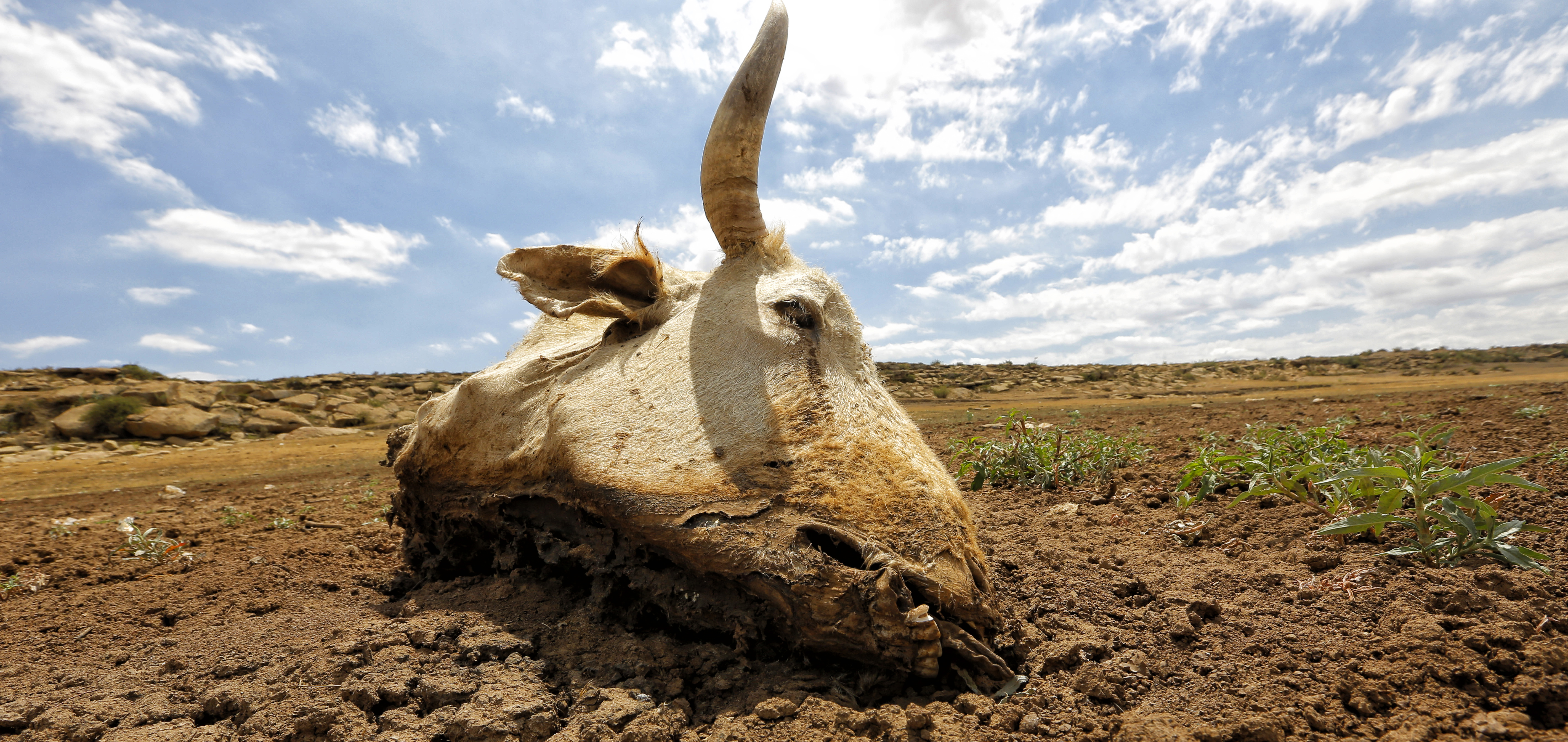 Three reasons why South Africa should pass its Climate Change Bill