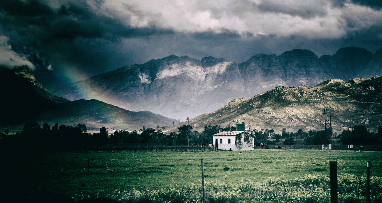 Land reform in South Africa: ‘We are shooting in the dark’