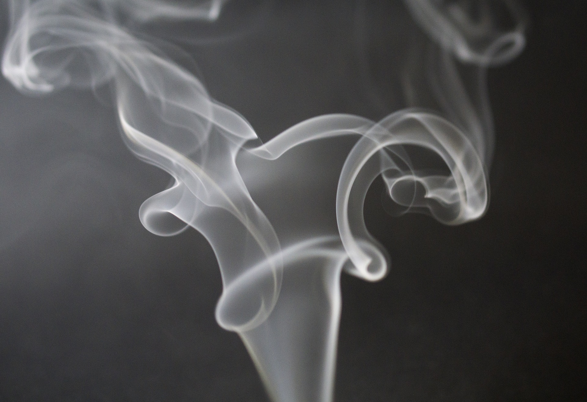 Dlamini Zuma turns cigarettes into illicit drugs as the underground economy takes over