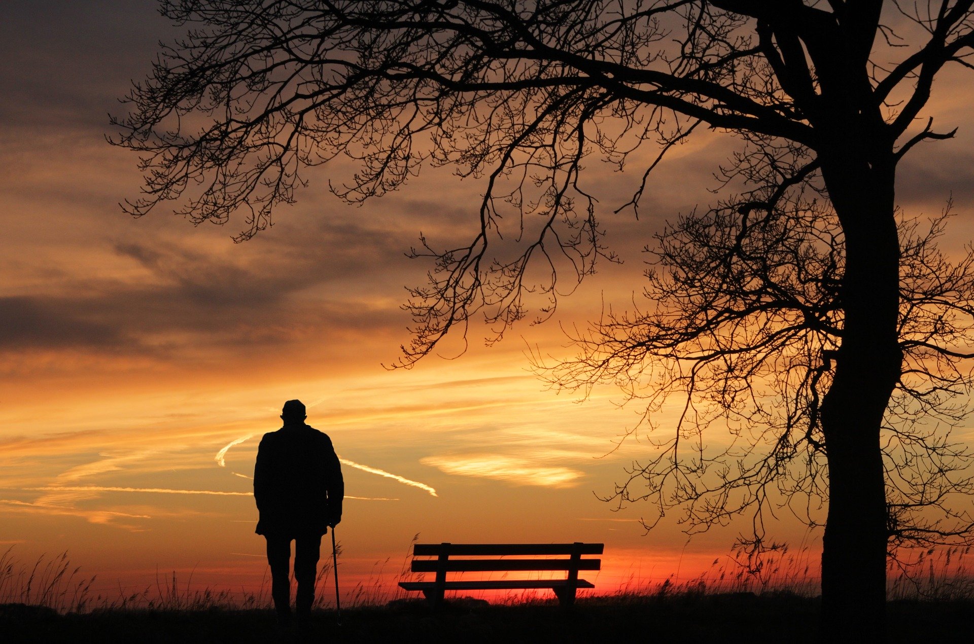 The Parable of the Chef who Gained Everything, and Lost Everything