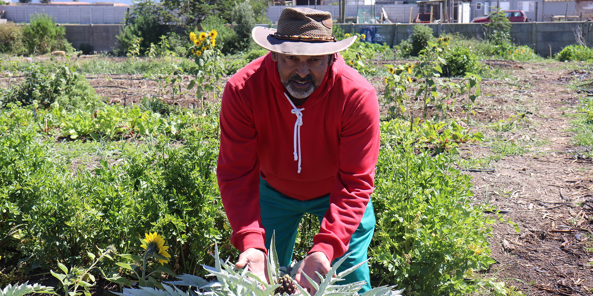 'I’m scared,’ says founder of Philippi Horticultural Campaign on eve of court battle