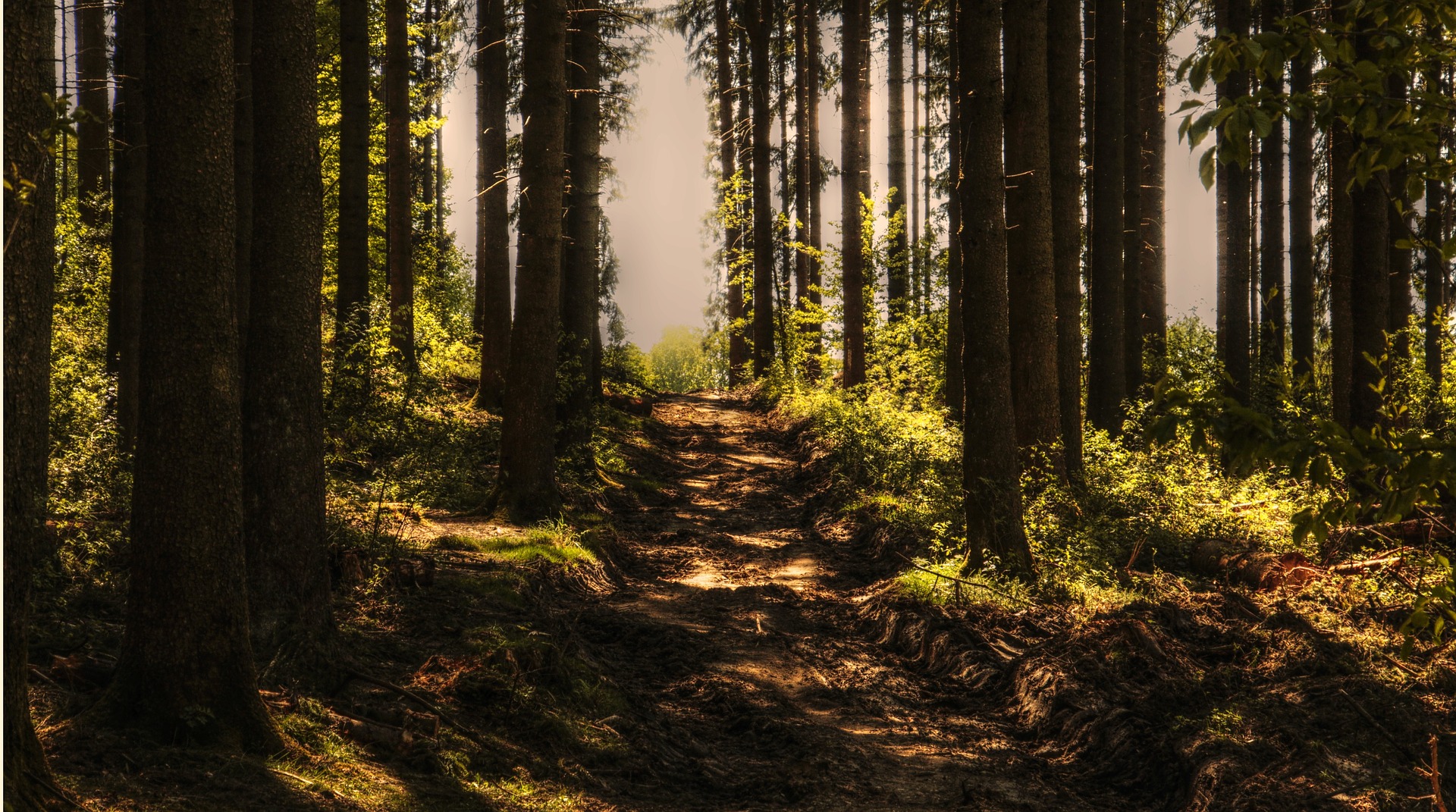 Love in the time of Covid-19: The mental health and well-being of individuals and communities