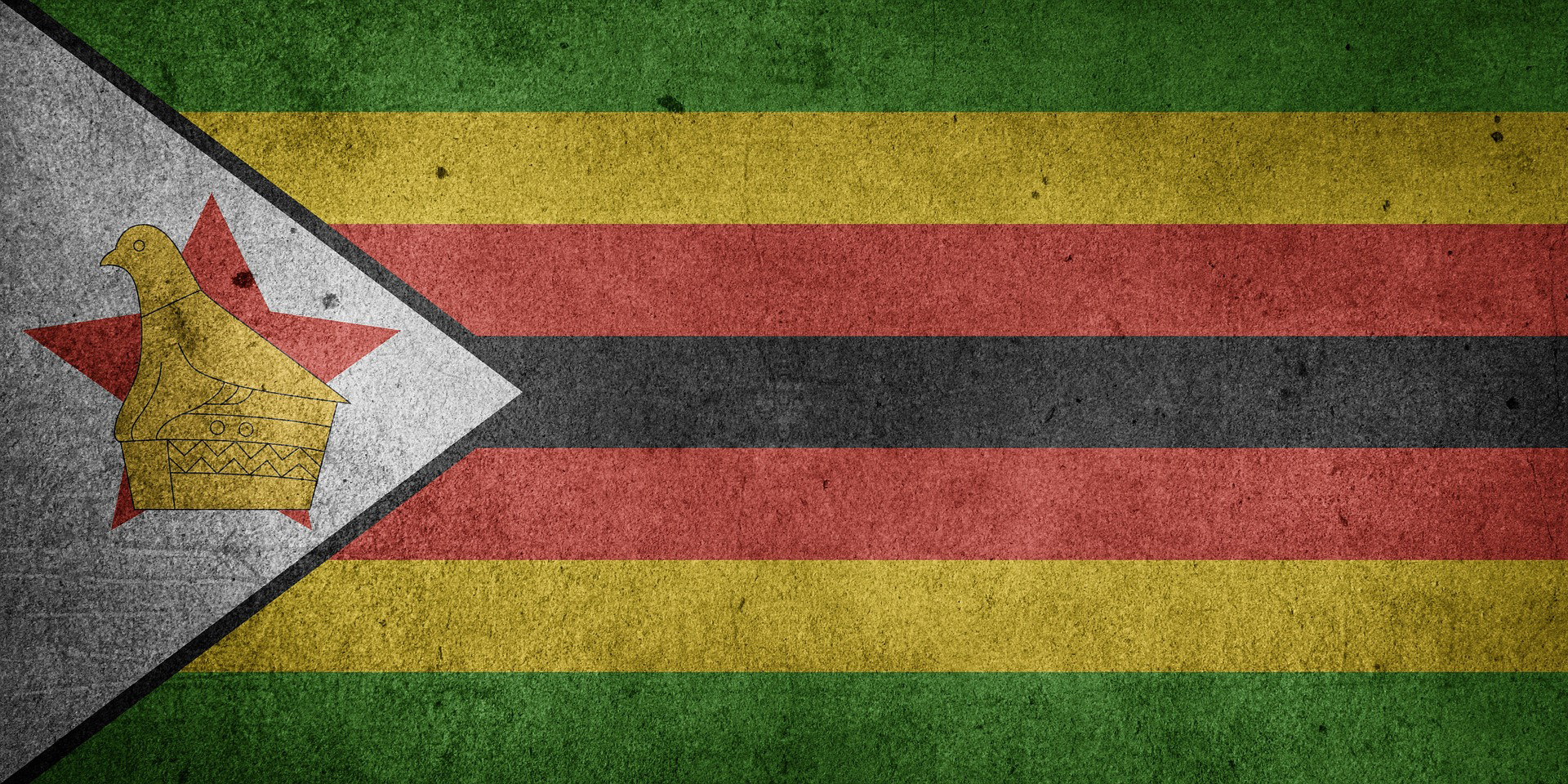 ‘Clear and Present Danger’: Zim police hunt school principal over orderly protest