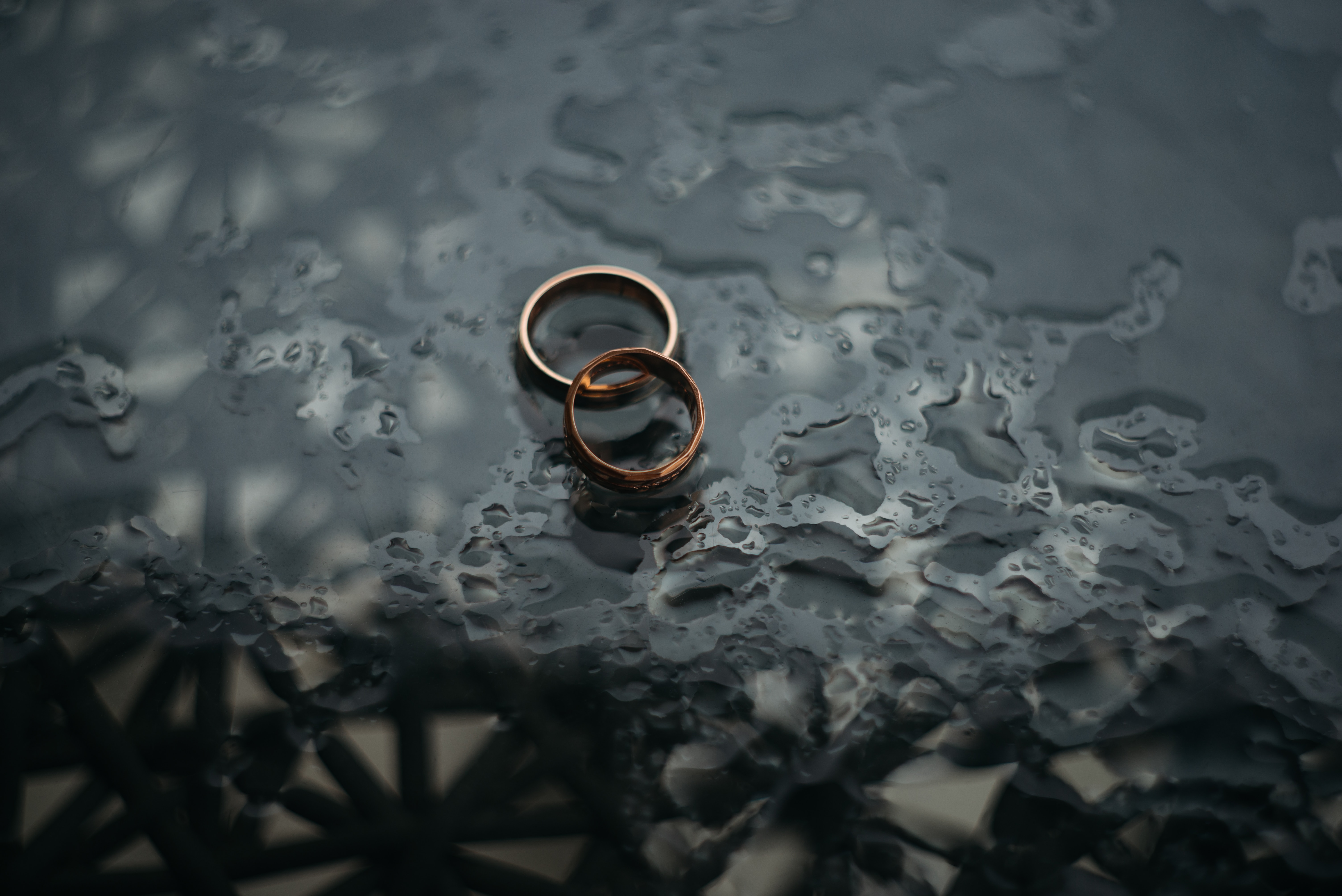 It’s official: ConCourt rules on polygamous marriages
