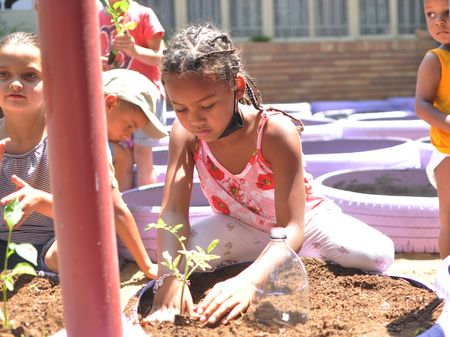 The pandemic’s gardening boom shows how gardens can cultivate public health