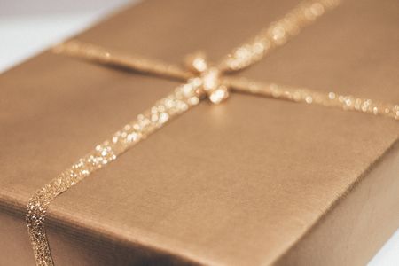 The ultimate gift guide when shopping for your politician this Christmas