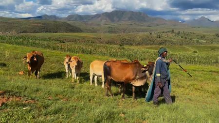 New African zeitgeist — citizens want climate action, digital age might be how they get it