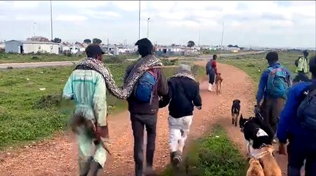 Does a rock python declared extinct a century ago still live in the hills of Nelson Mandela Bay?