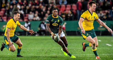 Warrick Gelant is the solution to Nienaber’s nagging Bok headache