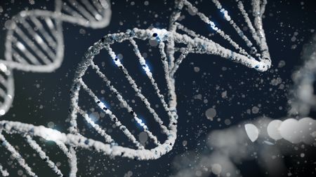 Scientists find the last remnants of the human genome that were missing in the Y chromosome