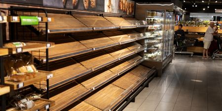 Covid-19 and the cost of stockpiling