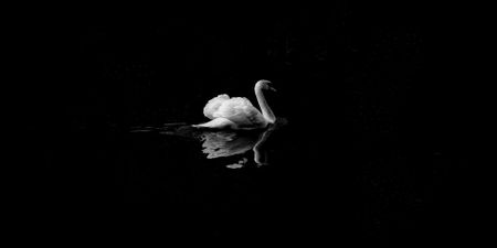 The changing nature of black swans in an economy built for a world that no longer exists