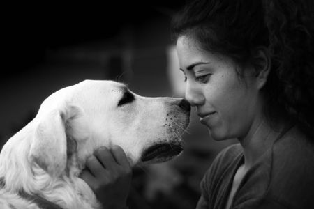 Of telepathic dogs and morphic fields
